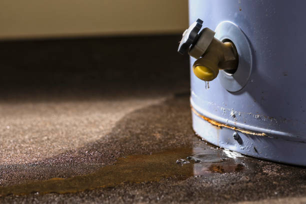 Water damage restoration experts in Fruit Hill, OH
