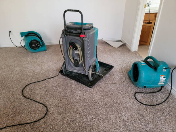Best Fire Damage Restoration  in Fruit Hill, OH
