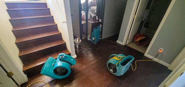 Best Water damage restoration specialists  in Fruit Hill, OH