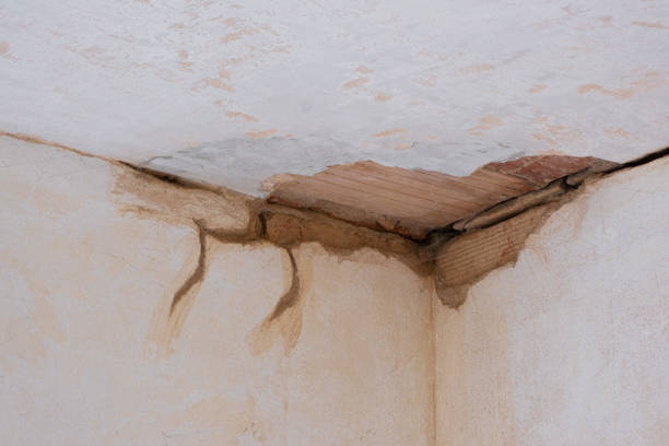 Fruit Hill, OH Water damage restoration Company