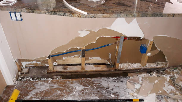 Best Professional water damage repair  in Fruit Hill, OH