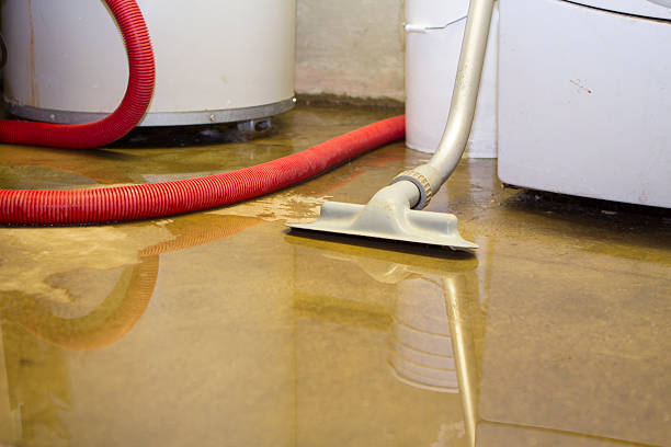 Reliable Fruit Hill, OH Water damage restoration Solutions