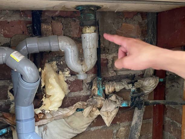 Best Local water damage restoration  in Fruit Hill, OH