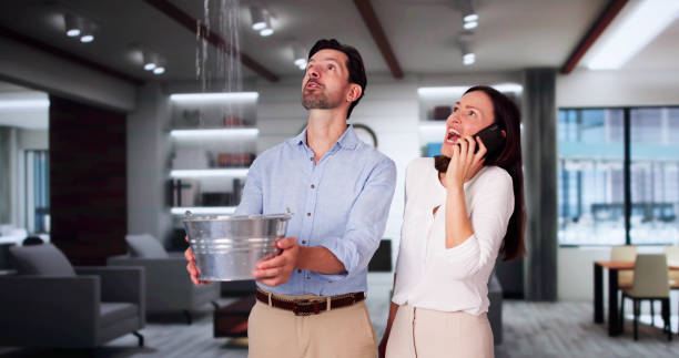 Best Basement water damage restoration  in Fruit Hill, OH