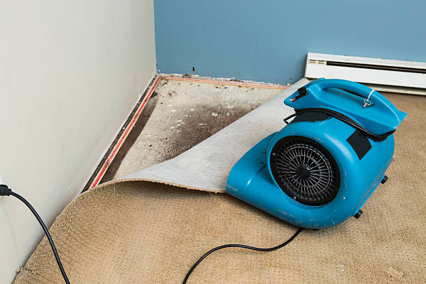 Best Flood restoration services  in Fruit Hill, OH
